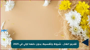 تقديم الغاز.. شروط وتقسيط بدون دفعة أولى في 2025